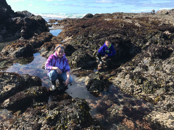 Natalie and Carter Exploring the Tide pools at MacKerricher State Park