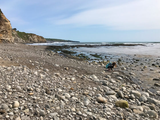 Hunting for Shells at Moat Creek Beach