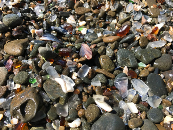 Rocks, Sea Shells, and Sea Glass along the Northern California Coastline
