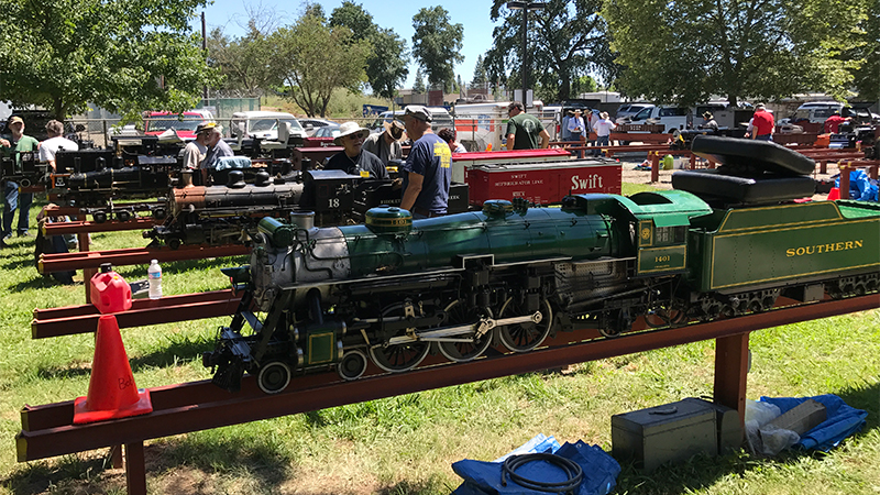 Sacramento Valley Steamers