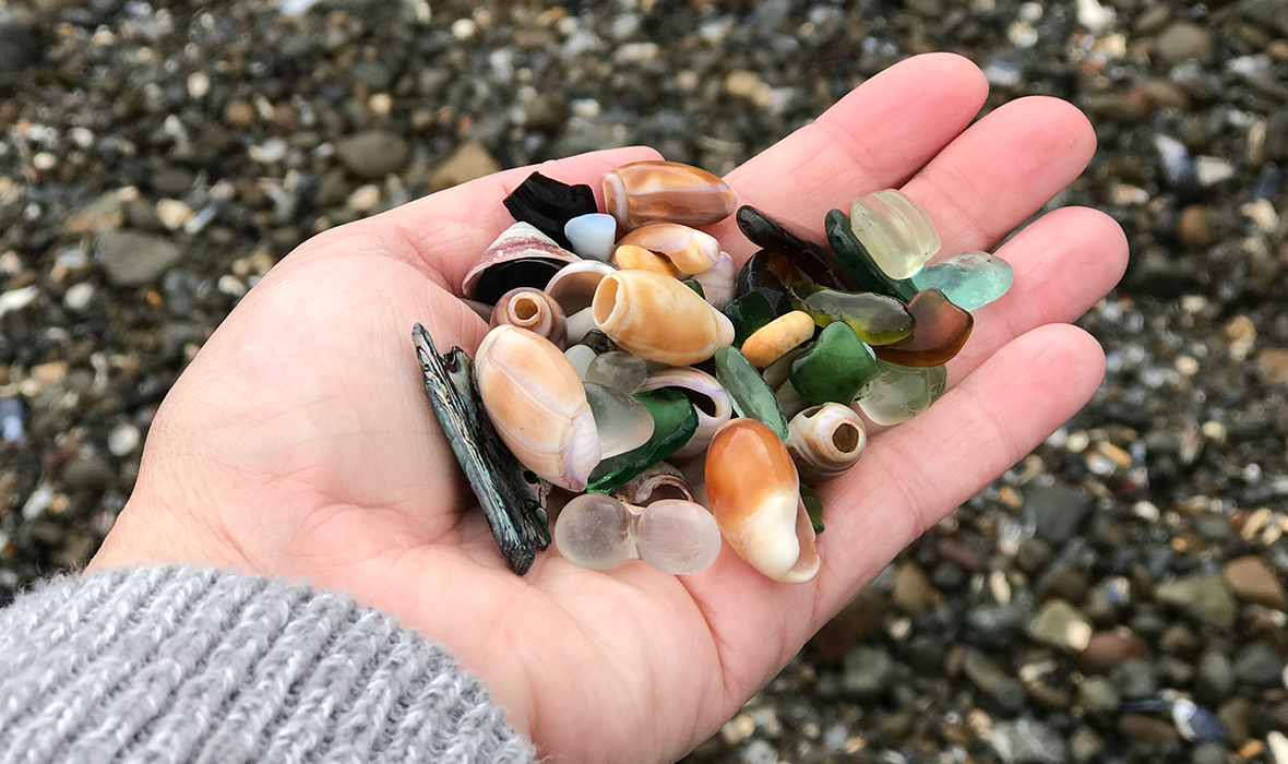 A Handful Of Sea Glass and Shells From Glass Beach