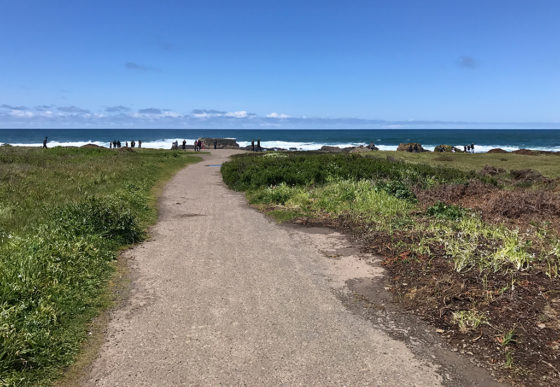 Trail From The Parking Lot To Glass Beach