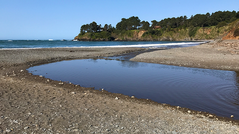 Van Damme State Park Near Mendocino, California