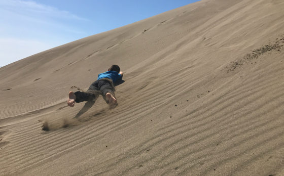 Carter Bourn Rolling Down The Sand Dunes