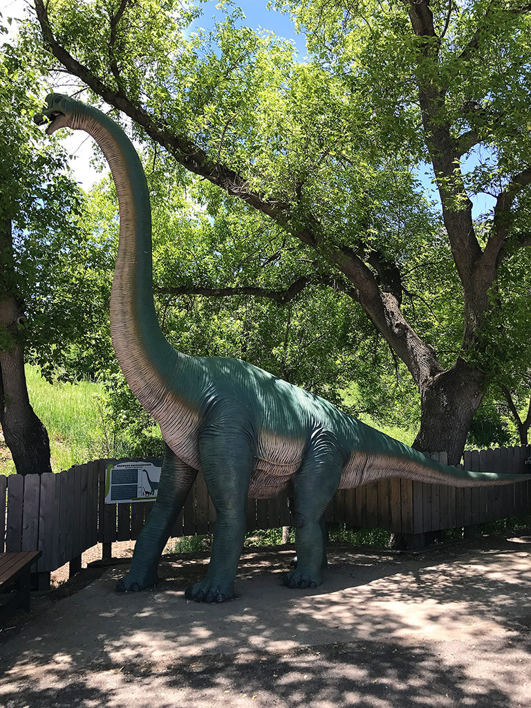 Dinosaur Ridge in the Morrison Fossil Area National Natural Landmark