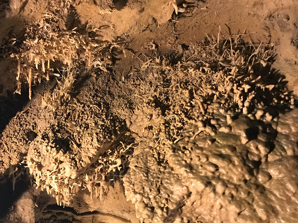 Limestone Cave Helictites