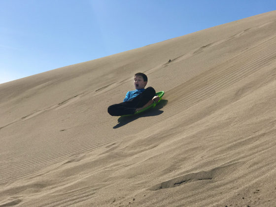 MacKerricher State Park Sand Dunes