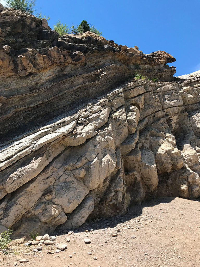 Dinosaur Ridge in the Morrison Fossil Area National Natural Landmark