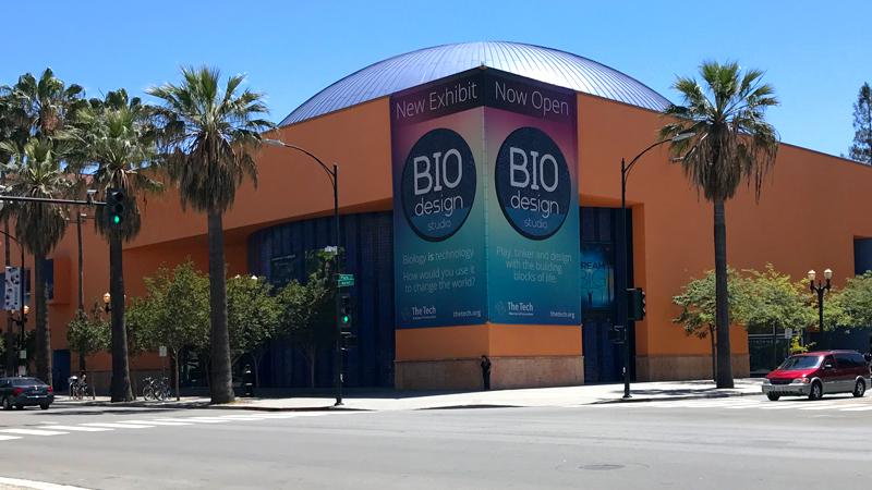 Hands-On Science At The Tech Museum of Innovation