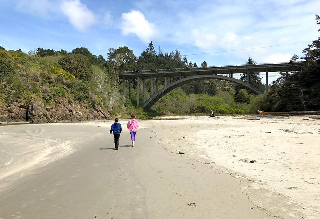 A Walk Through Time: Exploring the Wonders of Jug Handle State Natural Reserve