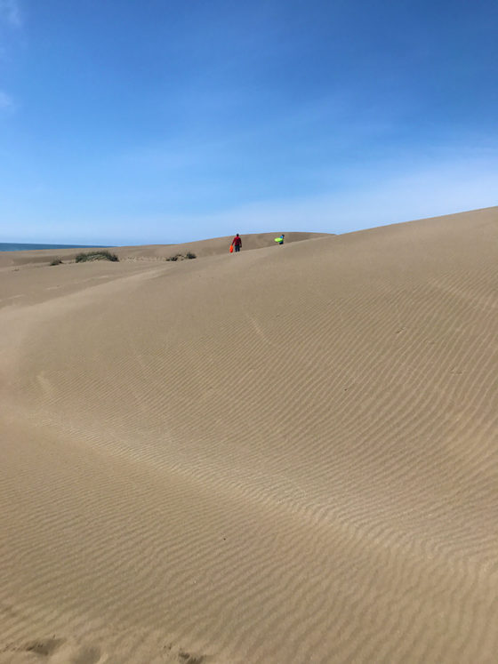 Walking the Inglenook Fen Ten Mile Dunes