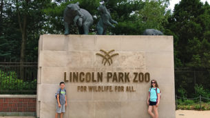 Lincoln Park Zoo, A Free Family-Friendly Zoo in Chicago, Illinois