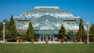 Visit the Free Lincoln Park Conservatory in Chicago