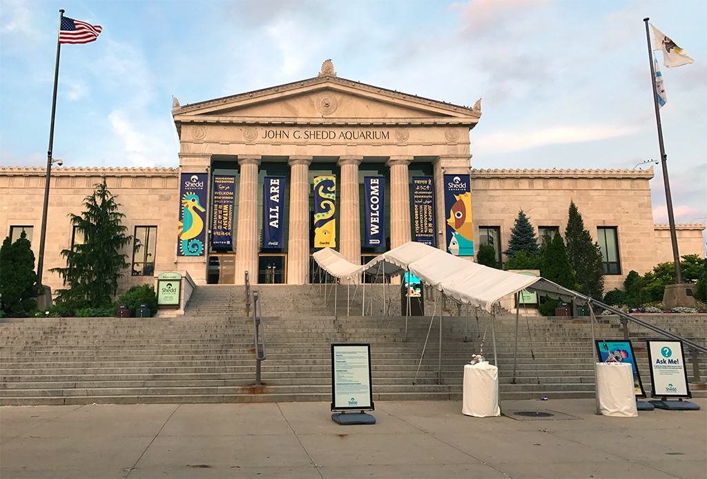 Visit The Shedd Aquarium at Chicago's Museum Campus in Grant Park - John G SheDD Aqaurium