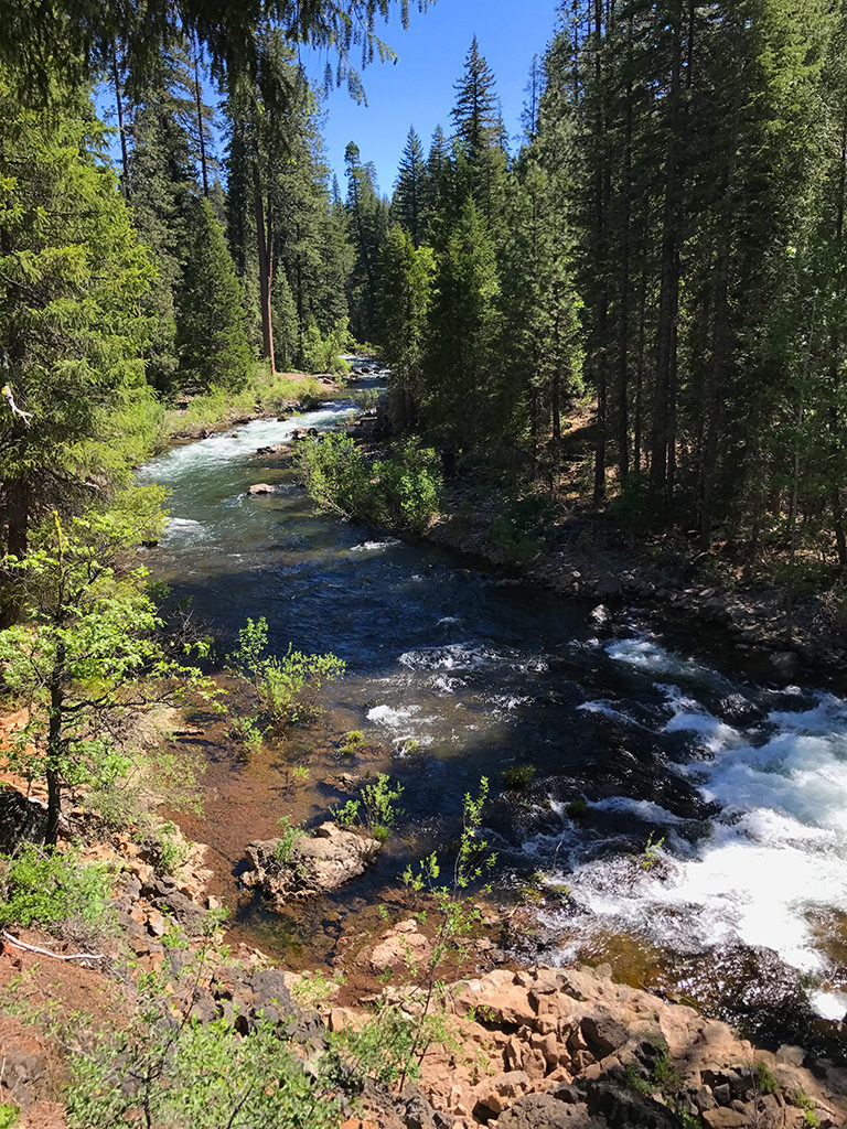 McCloud River Trail in Northern California