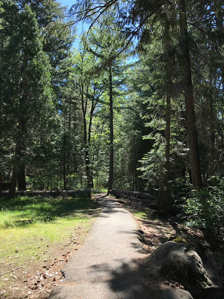 Partial Paved Trail along the McCloud River