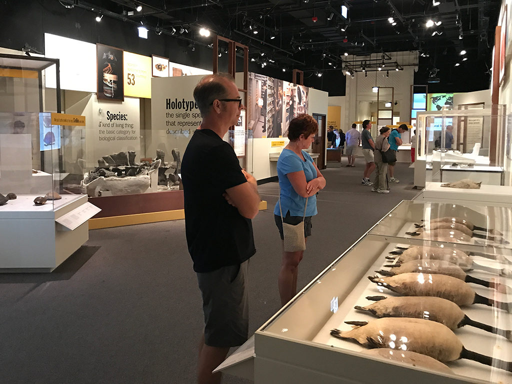 Visit The Field Museum of Natural History in Chicago's Grant Park