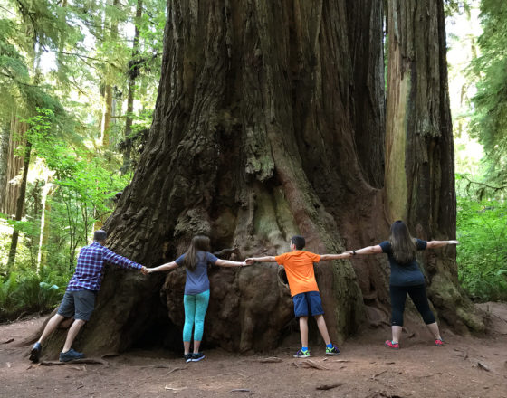 Bourn Family Hugging a Giant Coastal Redwood