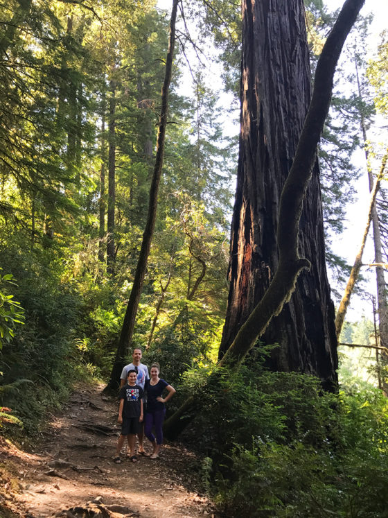 Brian, Carter, and Natalie Bourn on the River Trail in Jedediah Smith Redwoods State Park