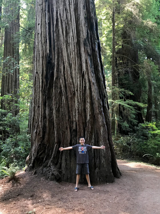 Carter Bourn Standing In From Of a Giant Coastal Redwood Tree