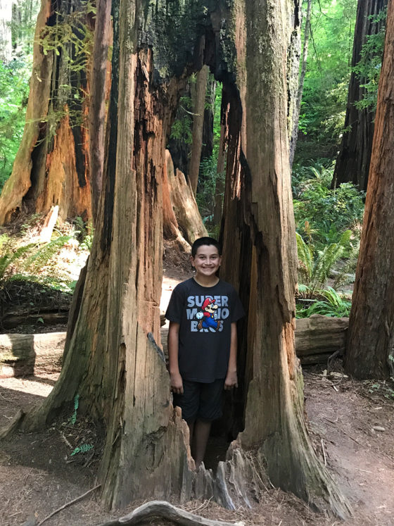 Carter Bourn Standing in a burned out redwood tree