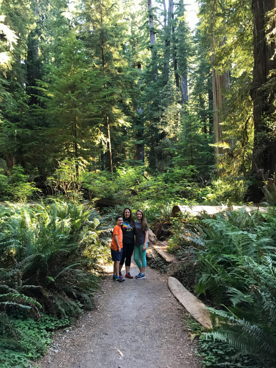 Carter, Jennifer, and Natalie Bourn Standing among giant redwoods in Jedediah Smith Redwoods State Park