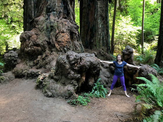 Natalie Bourn in front of a massive redwood root system