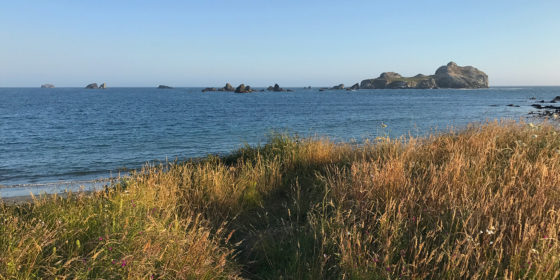 Pacific Ocean Views