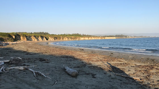 Point St. George Beach North And South
