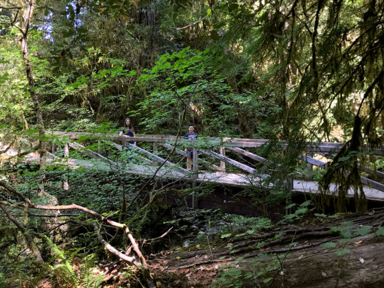 River Trail Bridge in Jedediah Smith Redwoods State Park