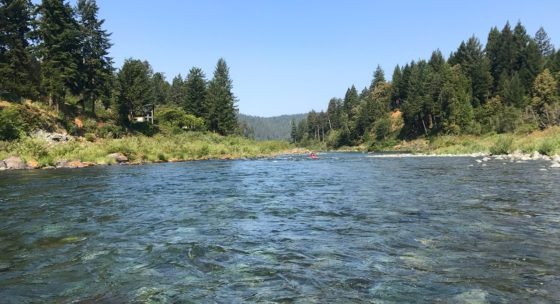 Kayaks On The Smith River