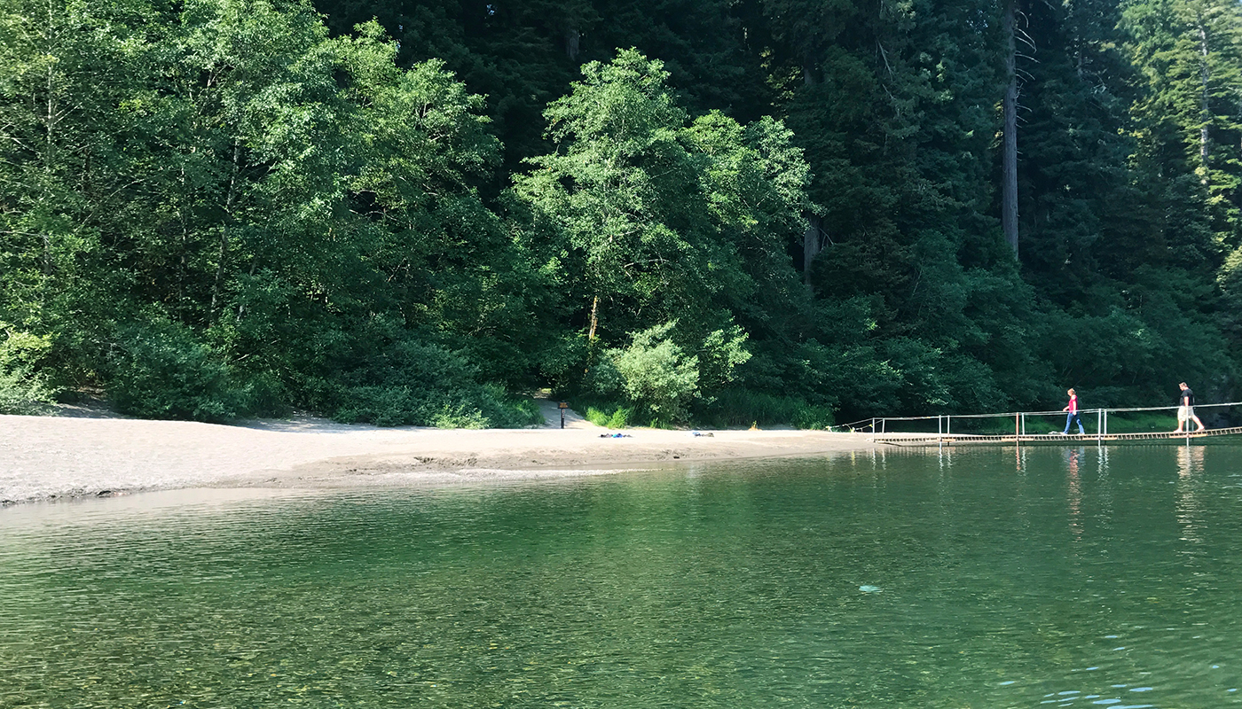 Stout Memorial Grove at Jedediah Smith State Park