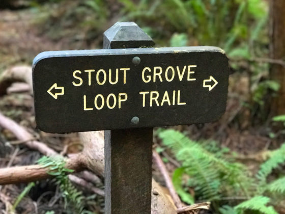 Stout Grove Loop Trail Sign