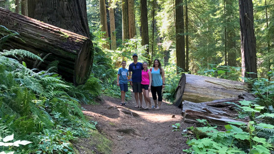 Ah-Pah Interpretive Trail at Prairie Creek Redwoods State Park
