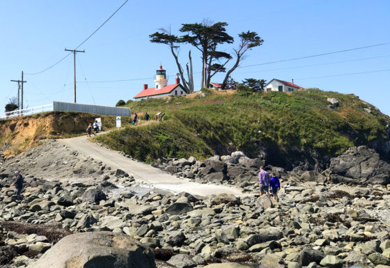 Brian and Carter walking to the Battery Point Lighthouse During Low Tide