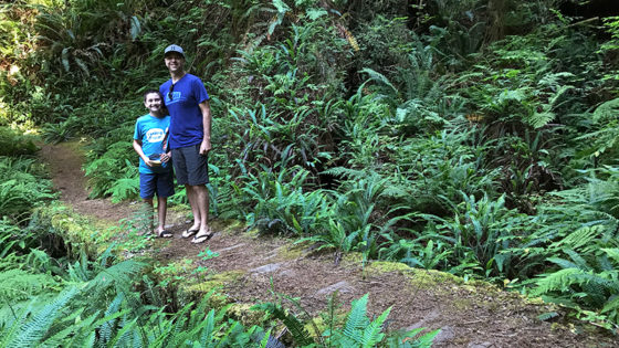 Little Creek Trail at Prairie Creek Redwoods State Park