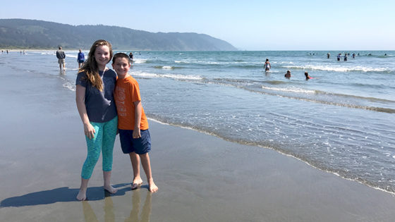 Crescent Beach And The Crescent Beach Overlook