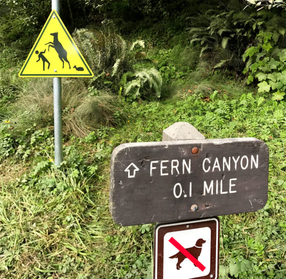 Fern Canyon Parking Lot Signs