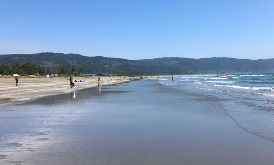 Families Playing Crescent Beach