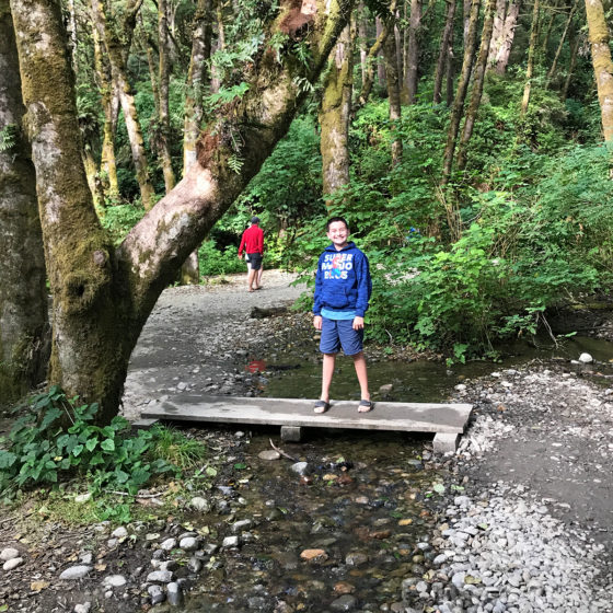 Getting To Fern Canyon