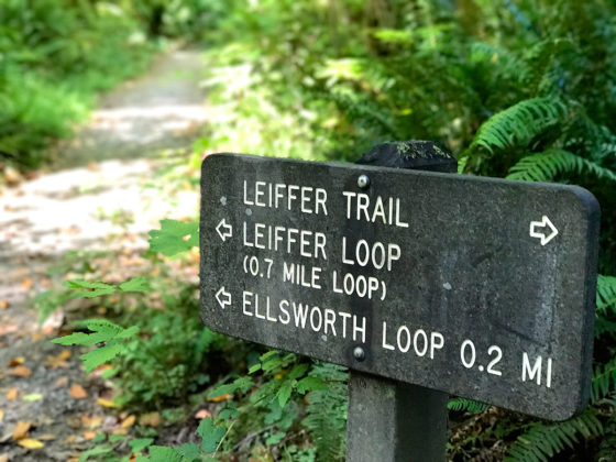 Lieffer Loop Trail Sign