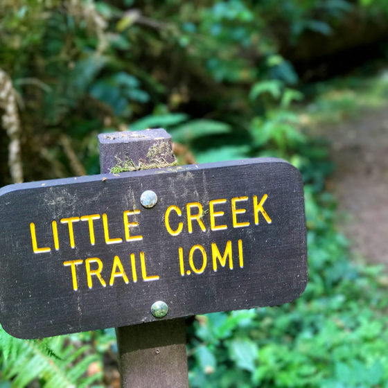 Little Creek Trail SIgn