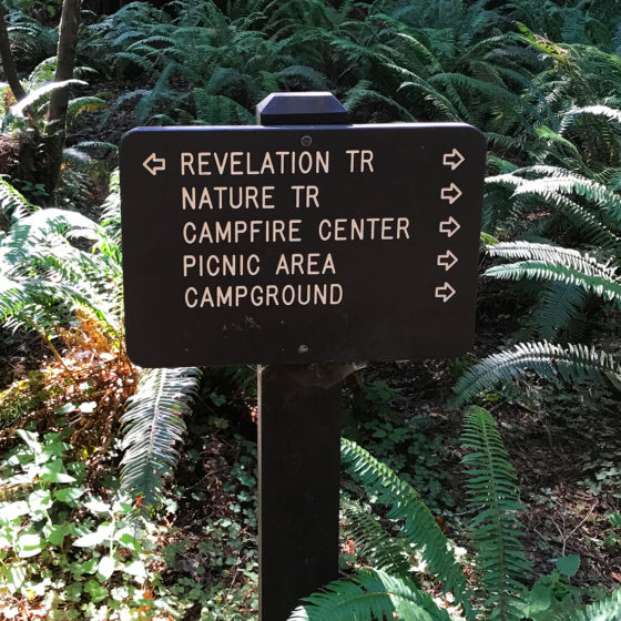 Revelations Trail Sign on the Redwood Access Trail
