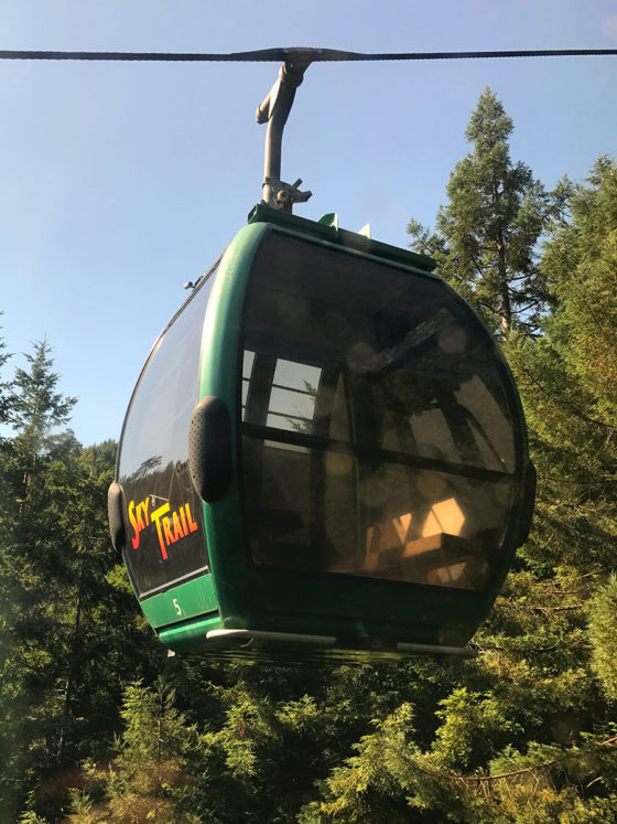 Trees of Mystery SkyTrail Gondola Ride