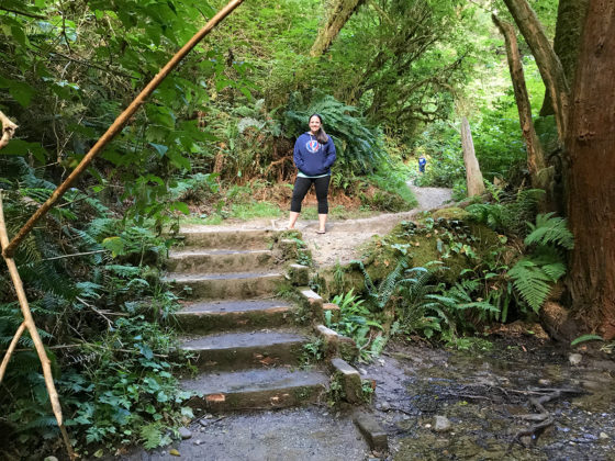 Stairs out of Fern Canyon