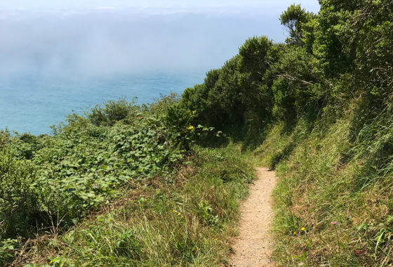 Trail to the Klamath River Overlook