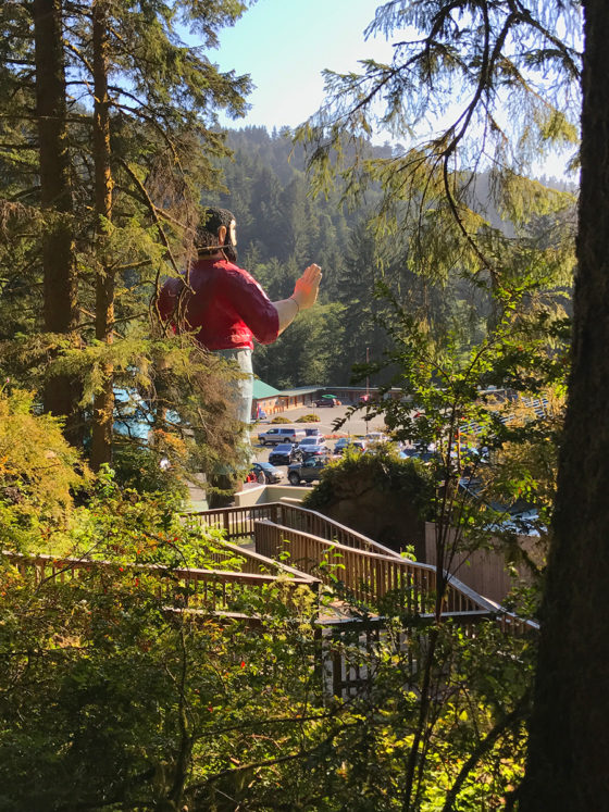 Trees of Mystery Trail System