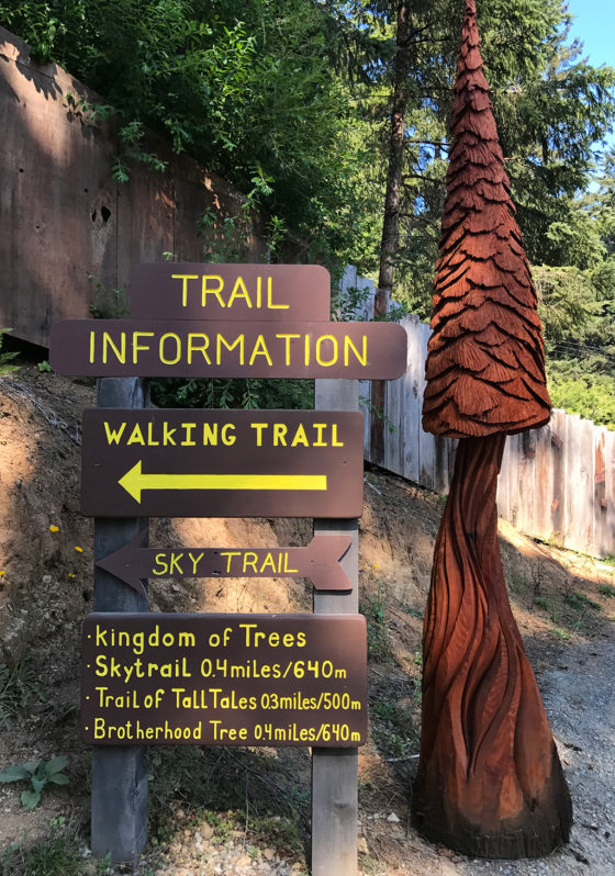 Trees of Mystery Walking Trails