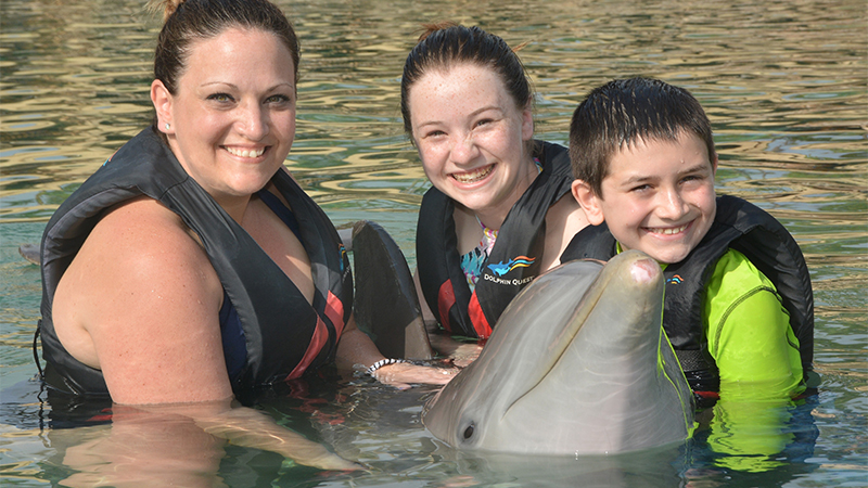 Bourn Family Dolphin Quest at the Hilton Waikoloa Village