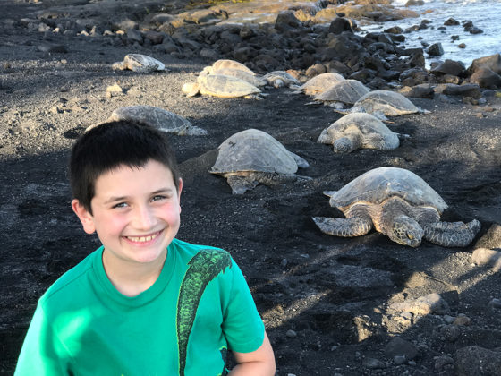 Carter Bourn close to Huge Sea Turtles in Hawaii